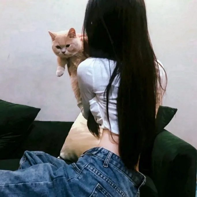菜鸟老板来上工