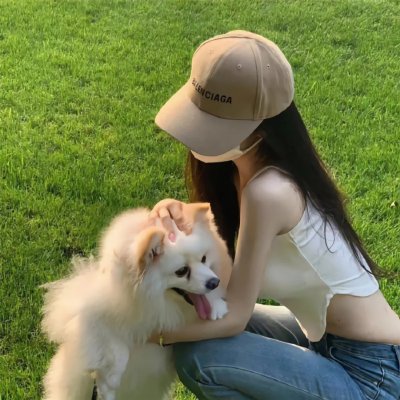 粉红火鹤